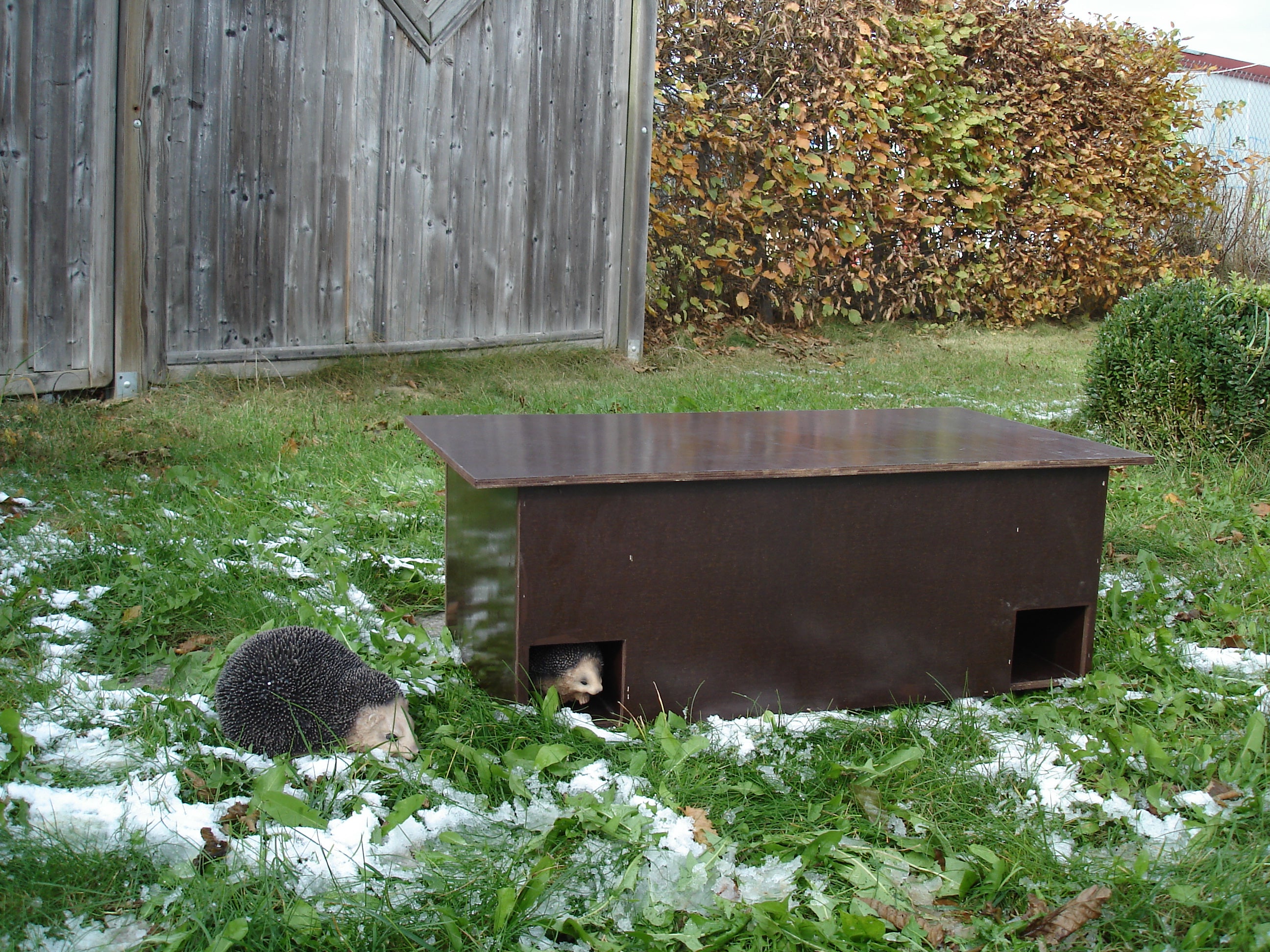 Elmato Igelhaus wetterfest