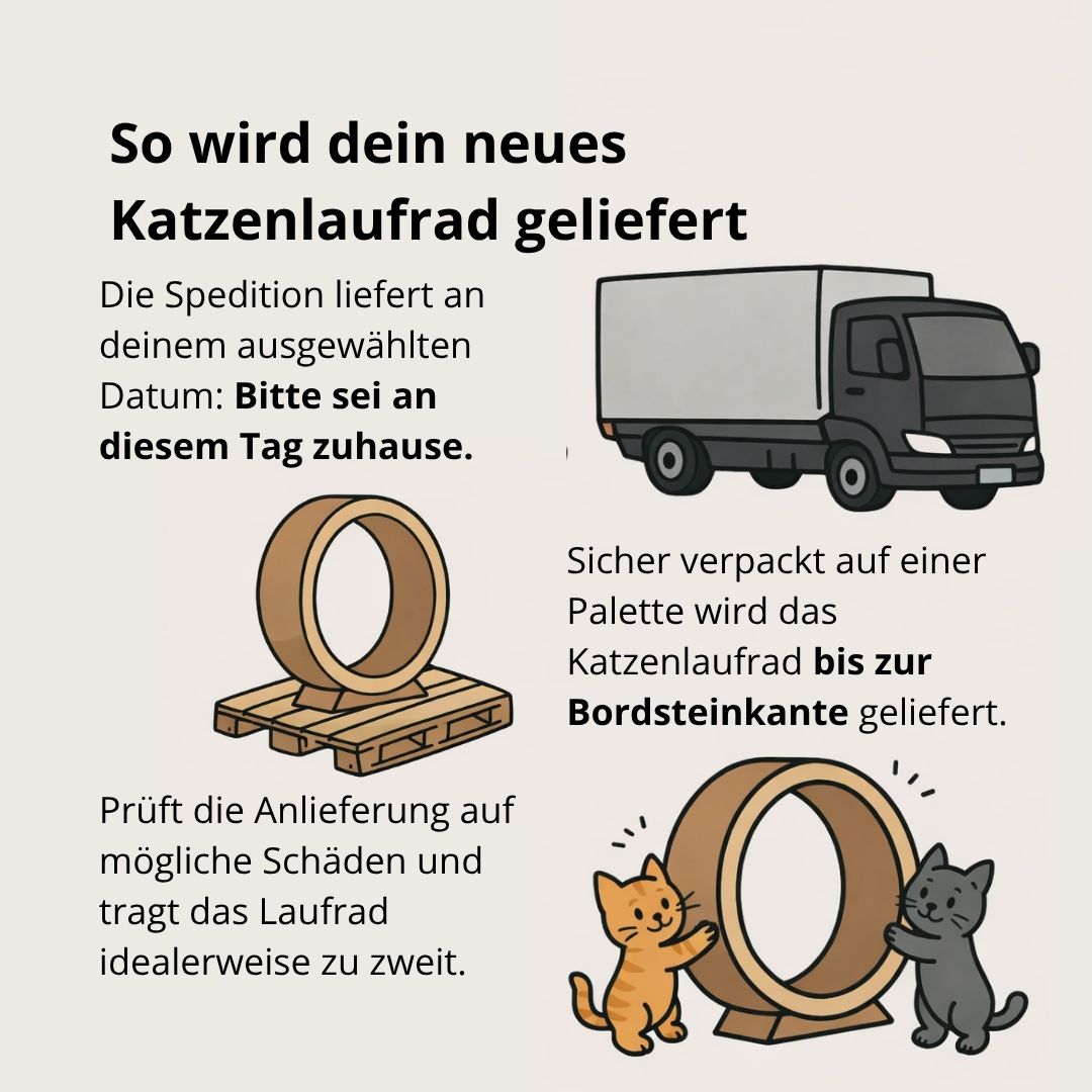 Sofort verfügbare Katzenlaufräder von ELMATO