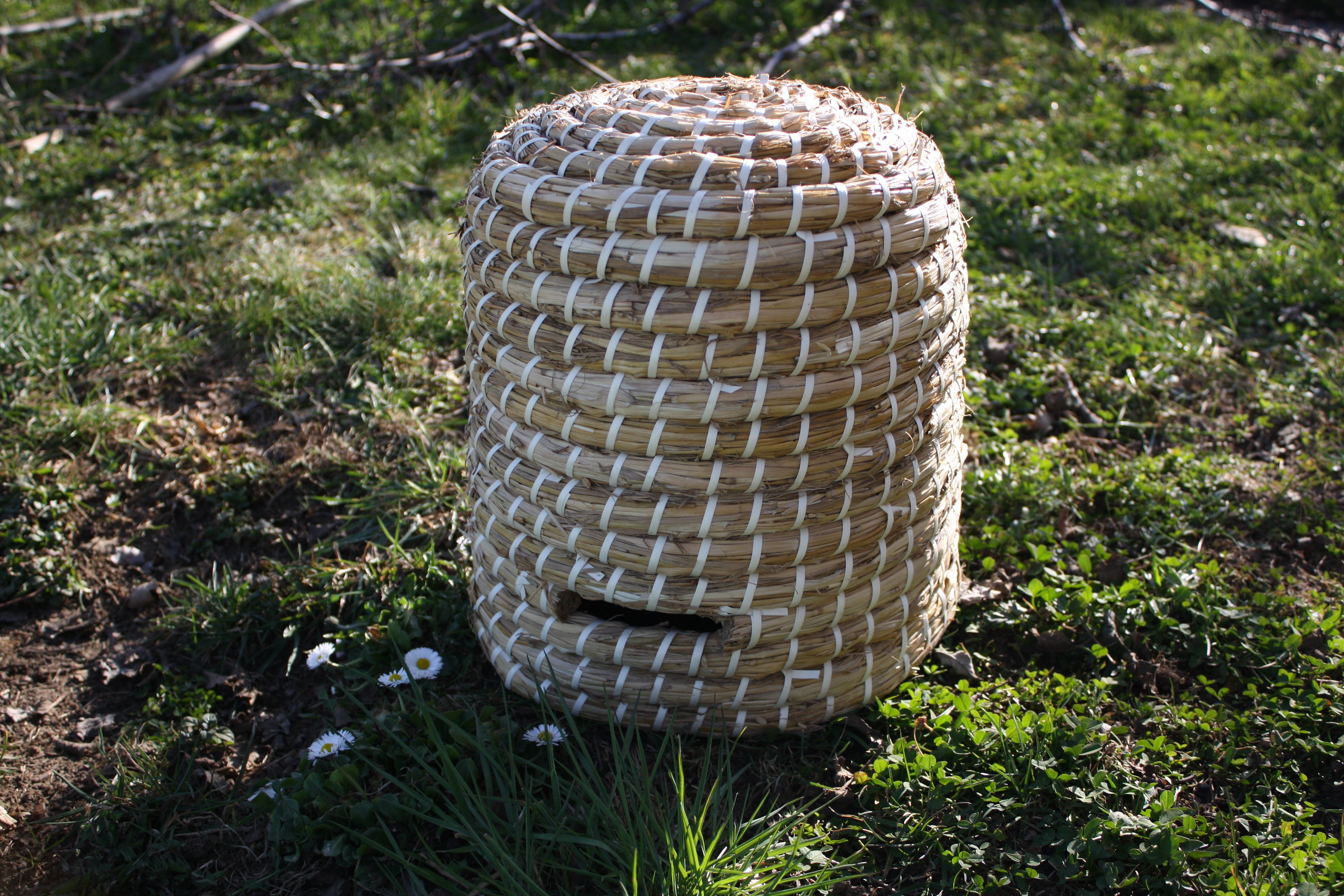 Elmato Bienenkorb mit oder ohnen Boden