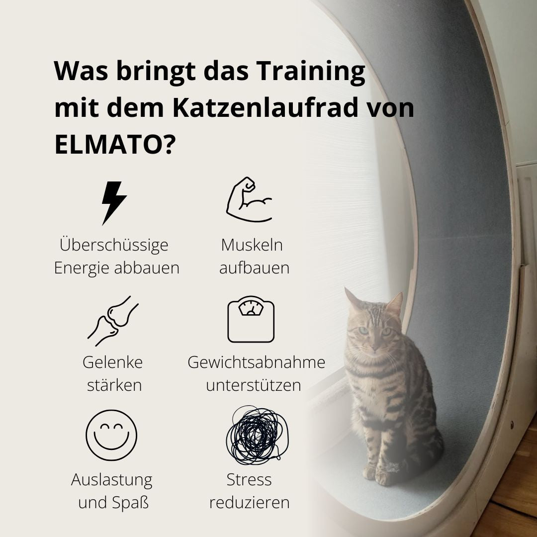 Elmato Katzenlaufrad Rocky Standmodell