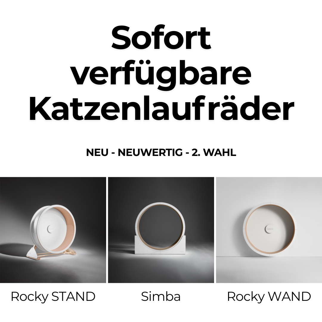 Sofort verfügbare Katzenlaufräder von ELMATO