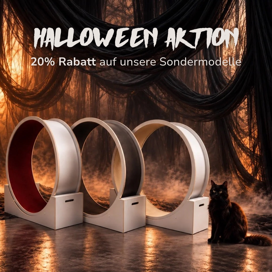Katzenlaufrad SIMBA Halloween Special XXL