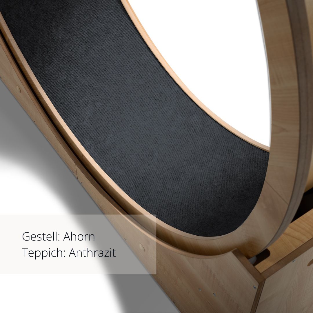 Elmato Katzenlaufrad Simba