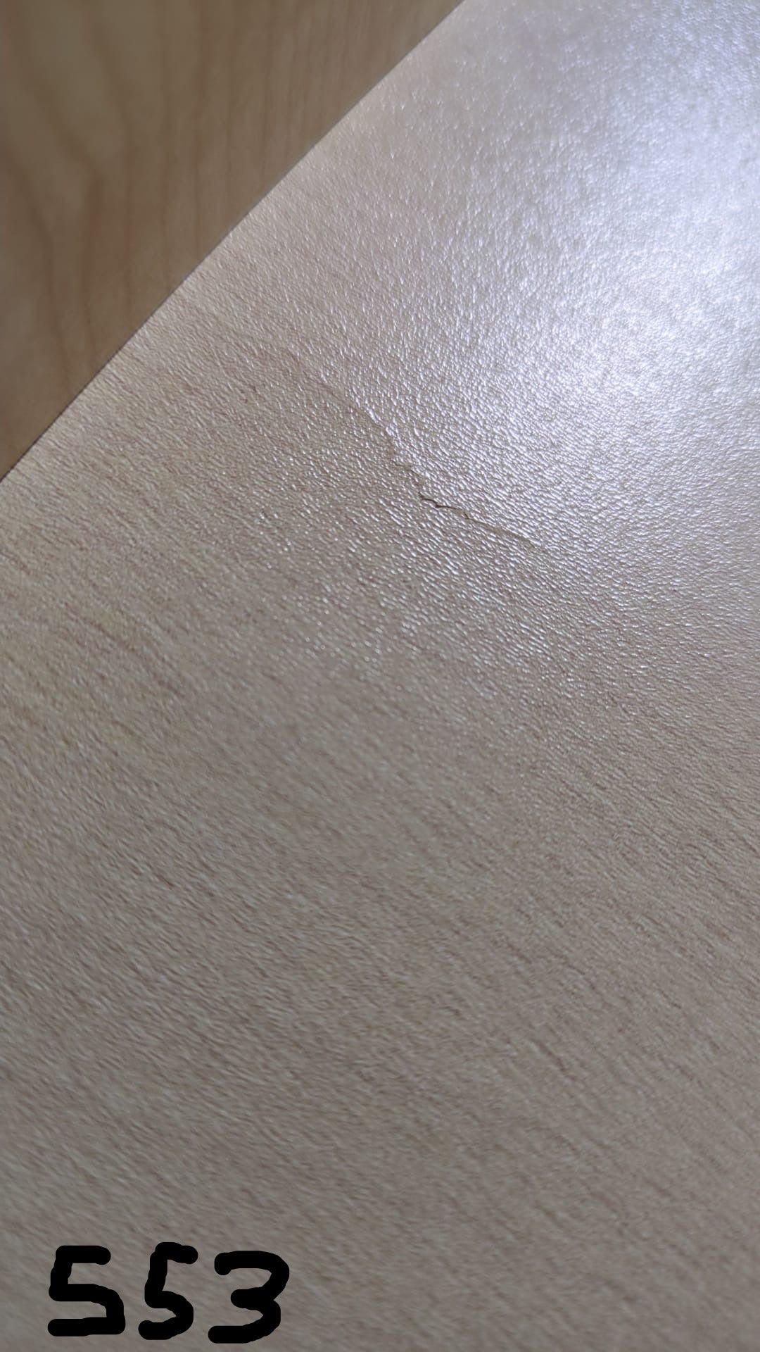 ELMATO Katzenlaufrad B-Ware & Neuwertig: Simba, Rocky WAND- & STAND-Modell